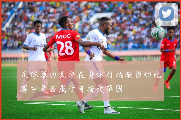 足球暴力美学在身体对抗激烈的比赛中是否属于可接受范围