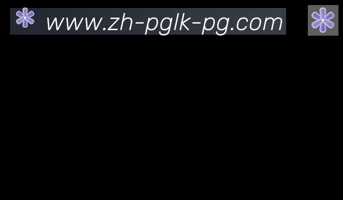 PG电子官网合作伙伴